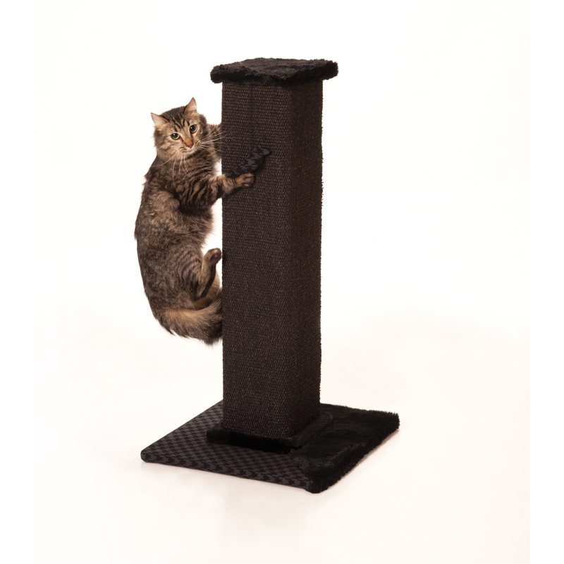 Max & Marlow Tower Sisal Scratching Post & Reviews Wayfair